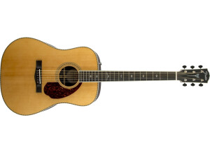 Fender PM-1 Deluxe Dreadnought (9297)