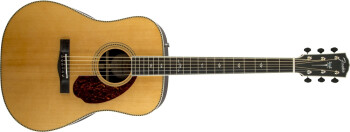Fender PM-1 Deluxe Dreadnought : 1