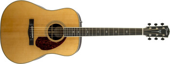 Fender PM-1 Deluxe Dreadnought : 1 Fender PM-1 Deluxe Dreadnought : 1