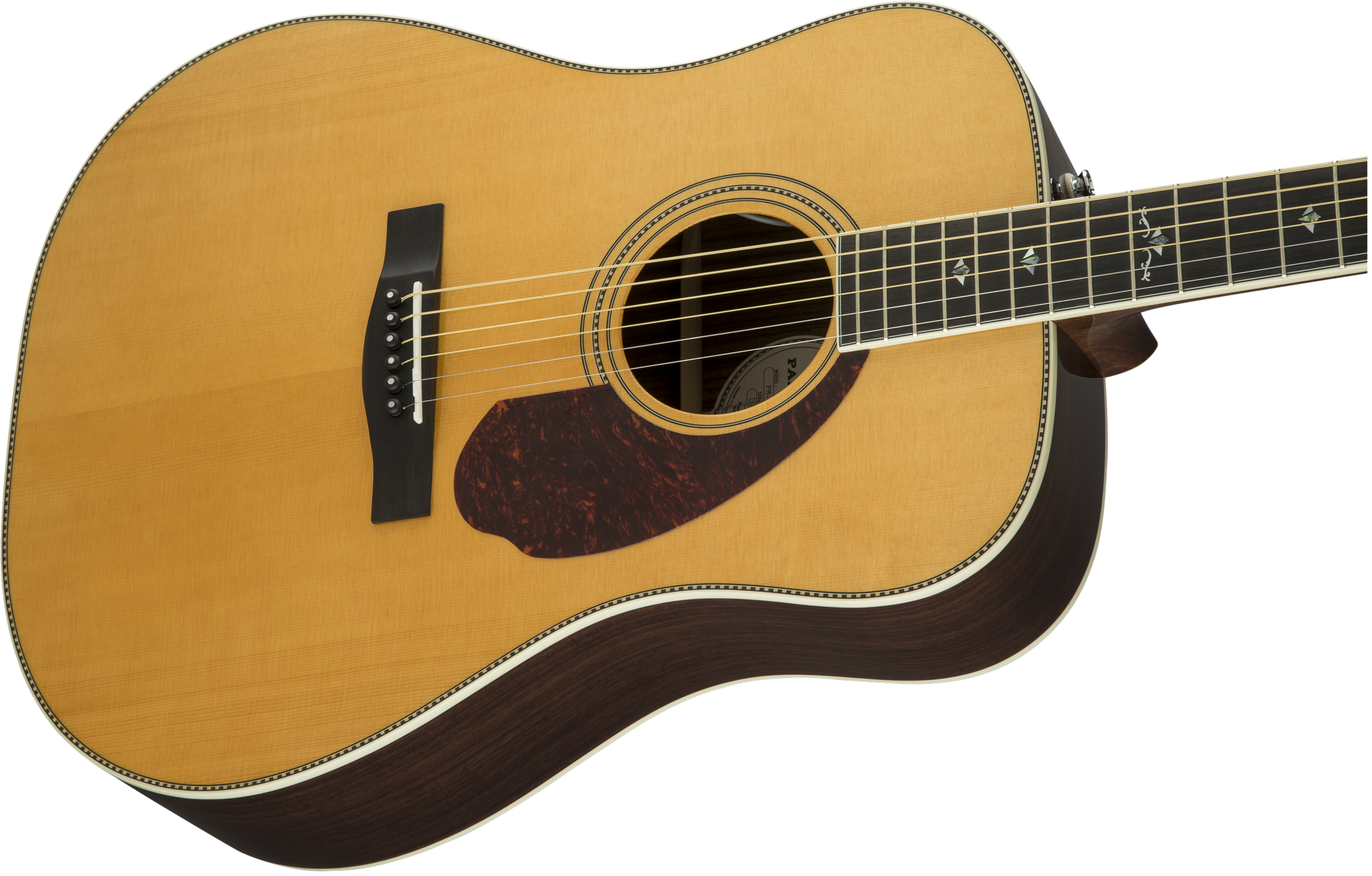 Fender PM-1 Deluxe Dreadnought : 0960270221 gtr cntbdyright 001 nr