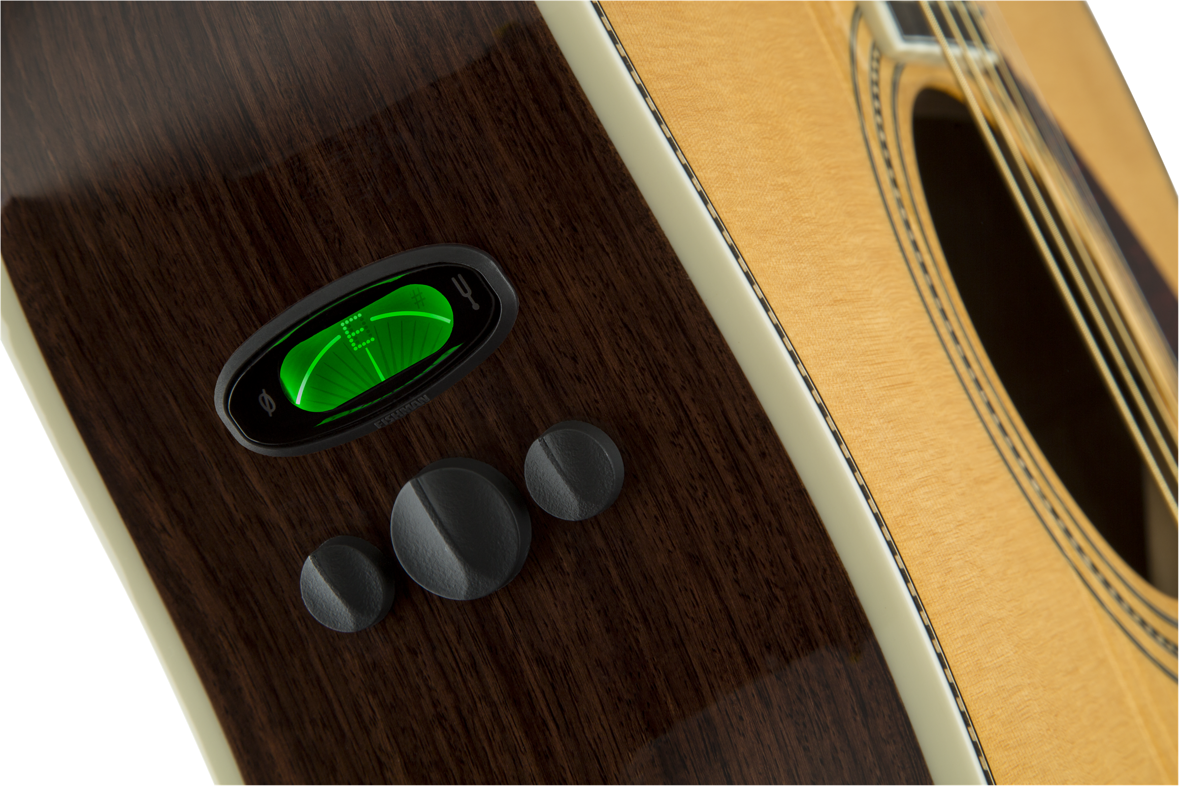 Fender PM-1 Deluxe Dreadnought : 0960270221 gtr frtbdydtl 002 nr