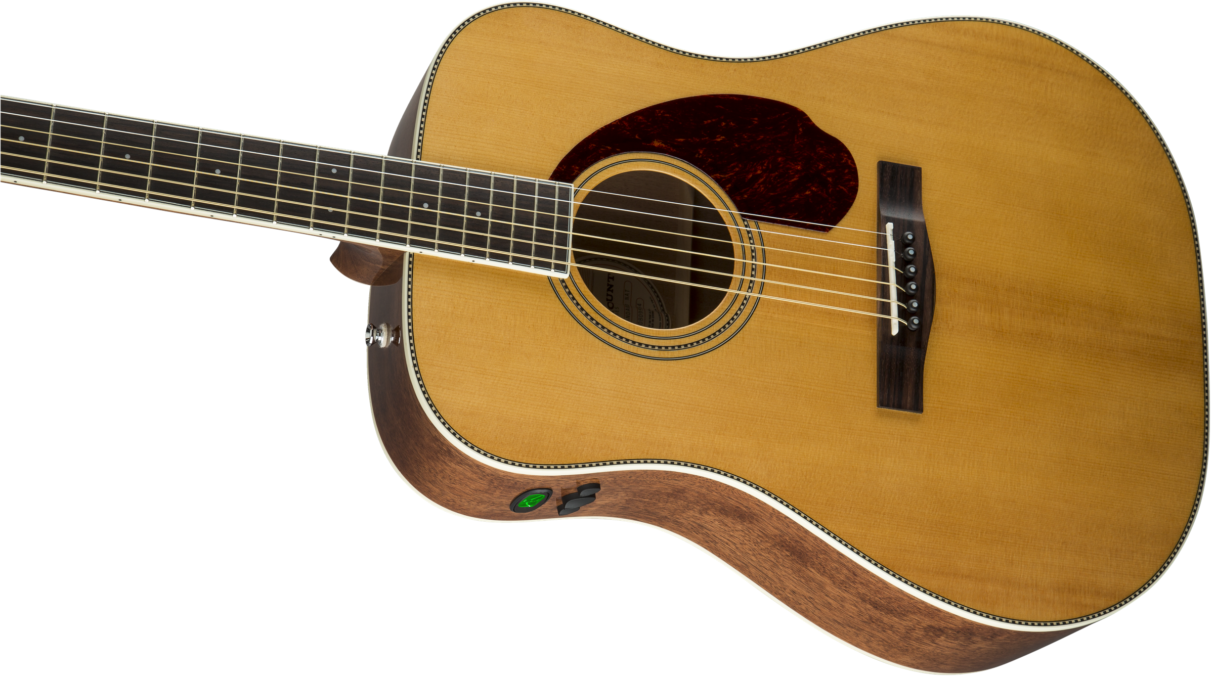 Fender PM-1 Standard Dreadnought : 0960250221 gtr cntbdyleft 001 nr
