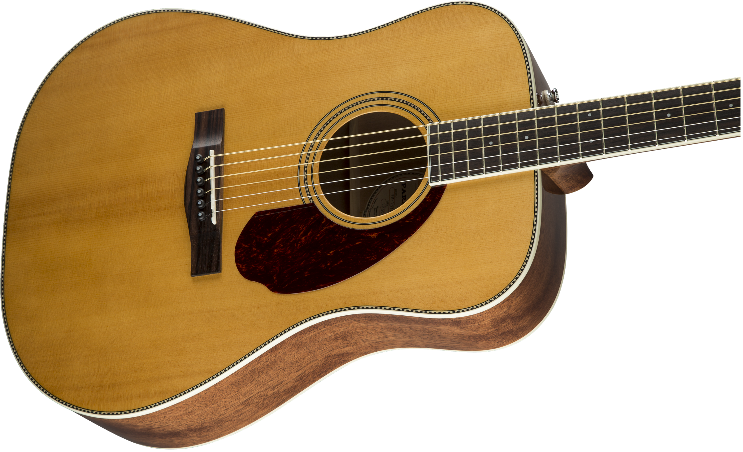 Fender PM-1 Standard Dreadnought : 0960250221 gtr cntbdyright 001 nr