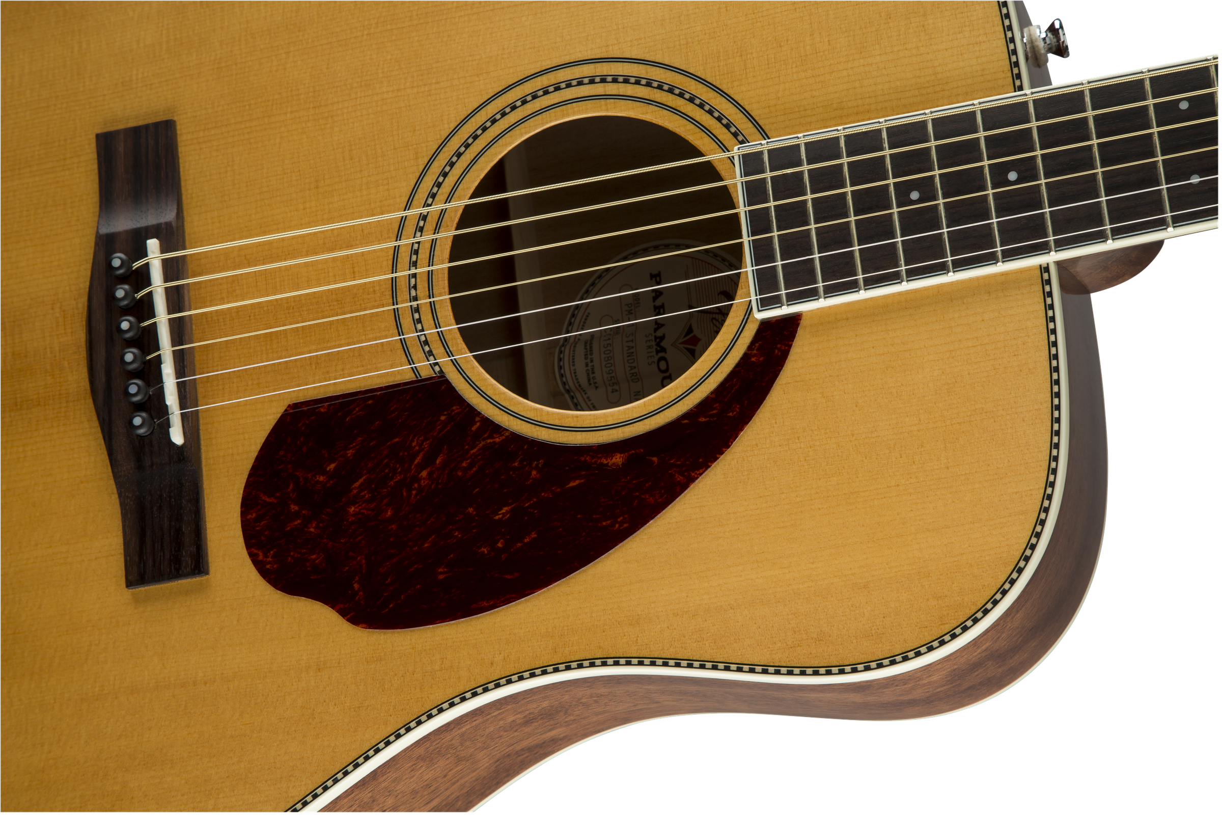 Fender PM-1 Standard Dreadnought : 0960250221 gtr frtbdydtl 001 nr