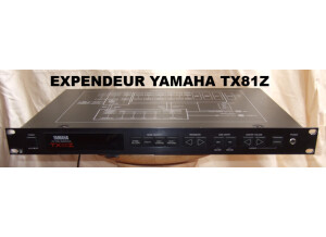 Yamaha TX81Z (41326)