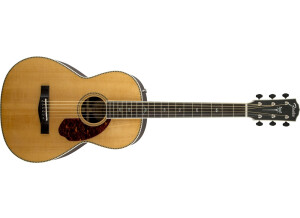 Fender PM-2 Deluxe Parlor (56479)