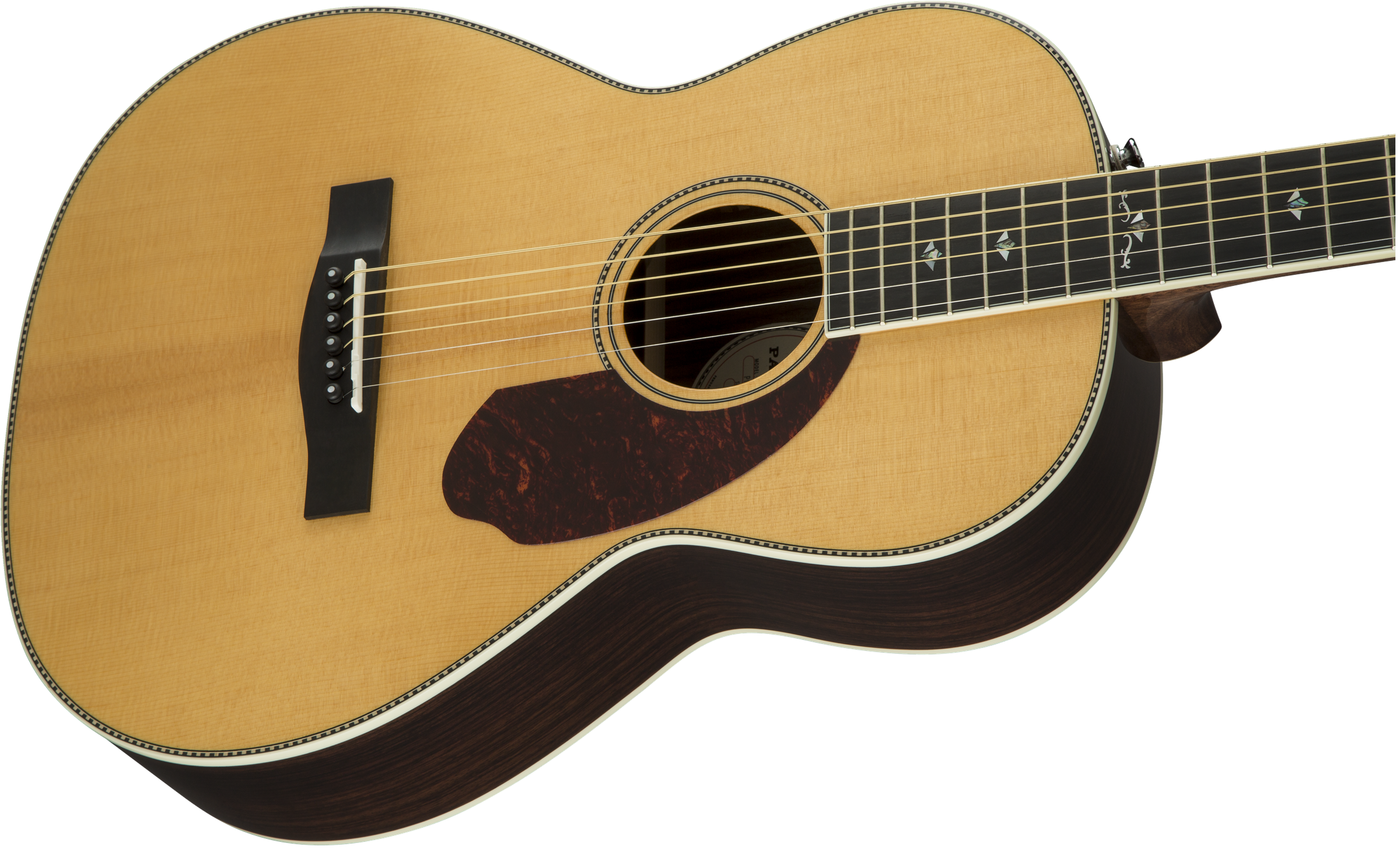 Fender PM-2 Deluxe Parlor : 0960272221 gtr cntbdyright 001 nr