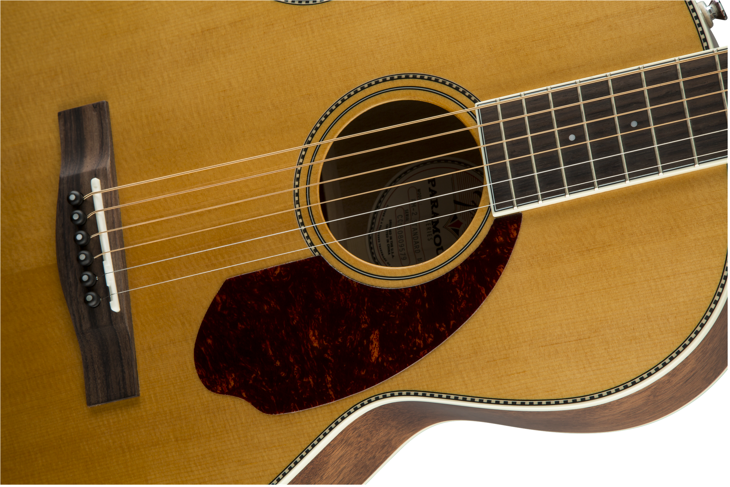 Fender PM-2 Standard Parlor : 0960252221 gtr frtbdydtl 001 nr