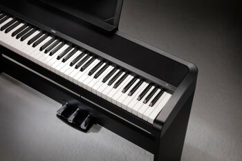 B1SP b image rgb B1SP b image rgb