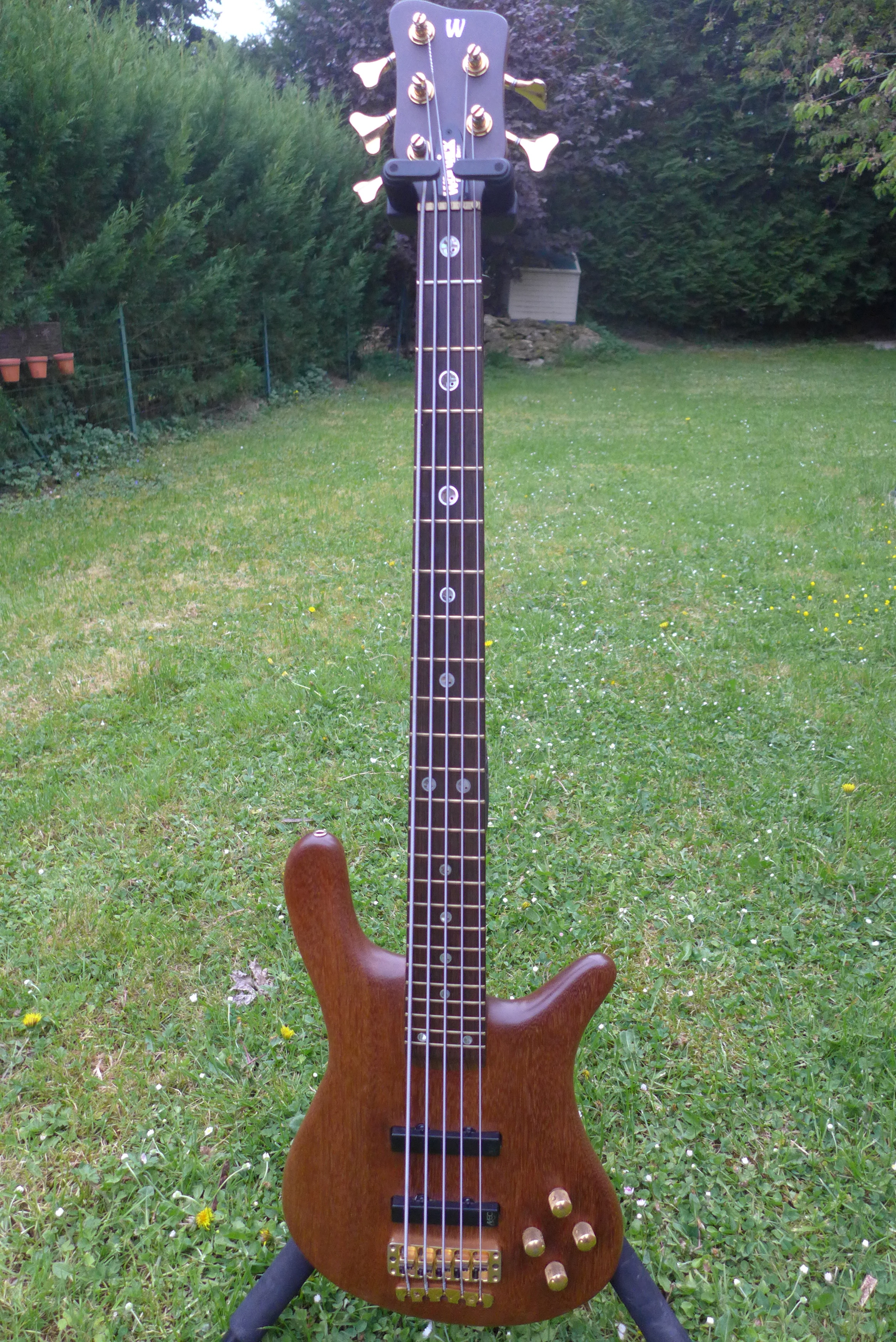 Warwick Streamer Stage II 5