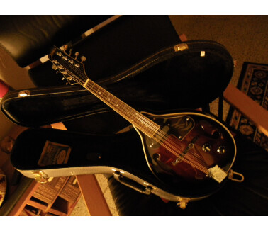 Johnson Guitars Mandolin