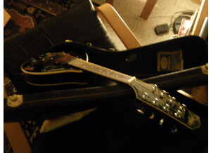 Johnson Guitars Mandolin
