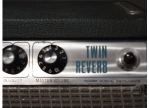 Fender Twin Reverb (Silver Face)