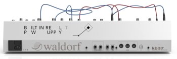 Waldorf KB37 : BK37 Rear Waldorf KB37 : BK37 Rear