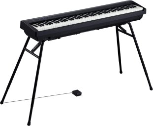 Roland FP-30 : FP 30 BK KS 12.DP 2 gal Roland FP-30 : FP 30 BK KS 12.DP 2 gal
