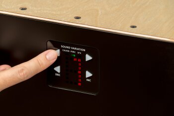 Roland EL Cajon EC-10 Roland EL Cajon EC-10