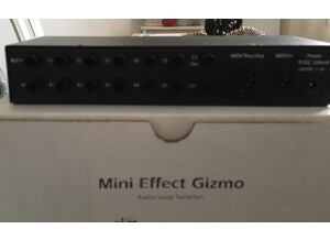 Rjm Music Technologies Mini Effect Gizmo (13550)