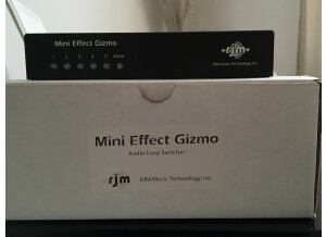 Rjm Music Technologies Mini Effect Gizmo (32142)