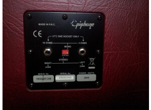 Epiphone Triggerman 100 DSP (69681)