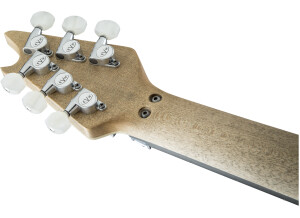 5101011000 gtr hdstckbck 001 nr