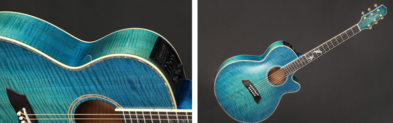 Takamine LTD-2016 DECOY