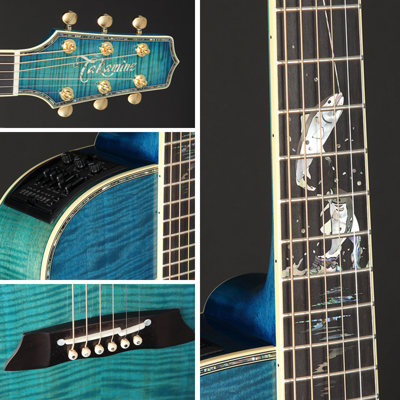 Takamine LTD-2016 DECOY