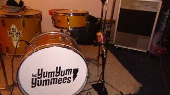 Shure 5575LE