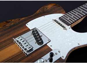 Michael Kelly Guitars Custom Collection 50 Fralin