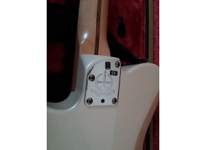 Fender American Deluxe Telecaster [2010-2015] (2404)