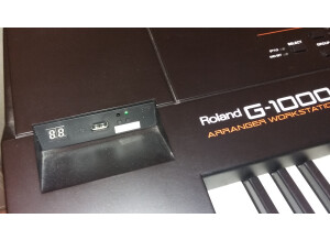 Roland G-1000 (40315)