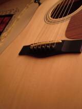 Fender DG-10