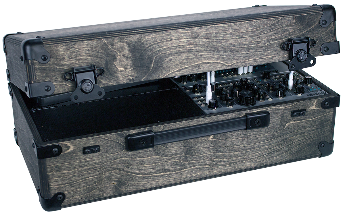 System 301 Case