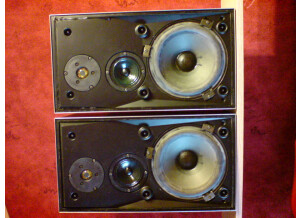 Bang & Olufsen Beovox S45 (59061)