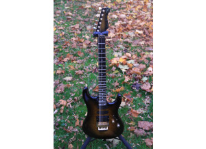 Valley Arts Guitars Custom Pro (63460)