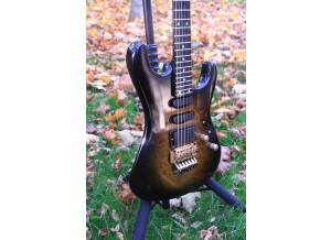 Valley Arts Guitars Custom Pro (46591)