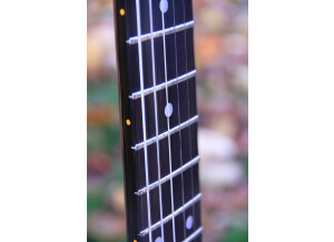 Valley Arts Guitars Custom Pro (49935)