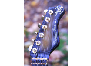 Valley Arts Guitars Custom Pro (32345)