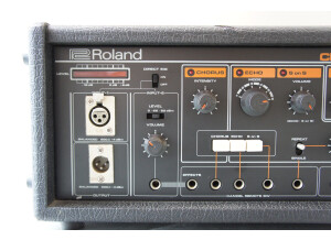 Roland RE-501 Chorus Echo (35301)