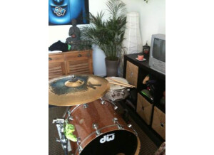 DW DW finish ply collector series