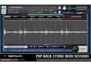 Big Fish Audio Pop Rock: Studio Drum Sessions