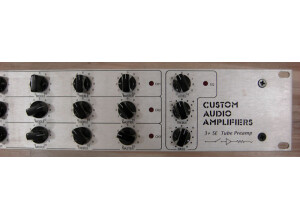 Custom Audio Electronics 3 + SE (90671)