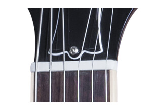 Gibson Les Paul Redwood