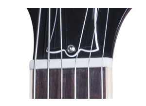 LPSRW16NACH1 FRETBOARD PANEL 03