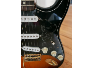Fender Stevie Ray Vaughan Stratocaster (43082)