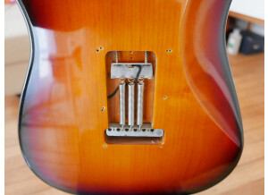 Fender Stevie Ray Vaughan Stratocaster (3953)
