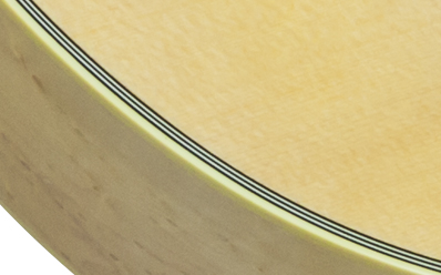 ACMGBEGH1 PLASTICS PANEL 03