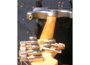 Music Man Luke (Vintage Tremolo) (51964)