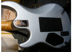 Music Man Luke (Vintage Tremolo) (68473)