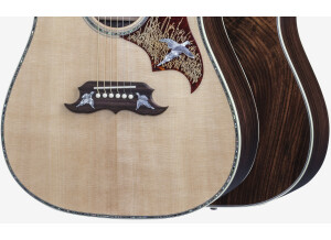 Gibson Doves in Flight Mystic Rosewood