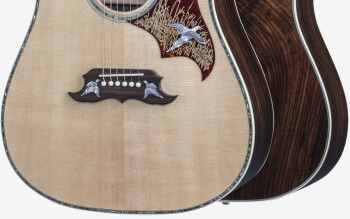 Gibson Doves in Flight Mystic Rosewood : SSDFMRGH1 BODY FRONT BACK